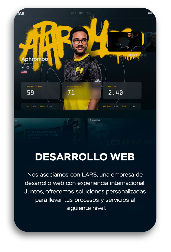 Boton_Portafolio_Desarrollo-Web